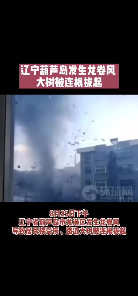 辽宁葫芦岛发生龙卷风 大树被连根拔起